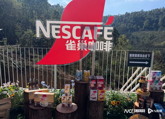 样化速溶咖啡老大雀巢推多款新品求变CQ9电子版入口竞争加剧消费需求多(图3)